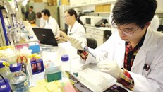 Bộ GD&ĐT đặt hàng các đề tài khoa học công nghệ 