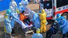 Cập nhật tình hình dịch bệnh nCoV: 639 người tử vong, 31.500 người mắc bệnh