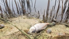 Vấn đề môi trường ngày càng trở nên khốc liệt hơn