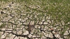 Tình trạng hạn hán, xâm nhập mặn đang tiếp diễn gay gắt ở ĐBSCL.