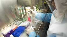 Các phòng thí nghiệm có thể làm xét nghiệm Covid-19 ở Việt Nam