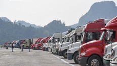 Hàng trăm xe container chở nông sản đang nằm chờ thông quan tại cửa khẩu Hữu Nghị, Lạng Sơn. 