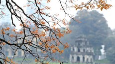 Bắc Bộ rét về đêm, Nam Bộ mưa và xâm nhập mặn giảm dần