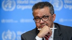 Tổng Giám đốc WHO Tedros Adhanom Ghebreyesus. Ảnh: AFP