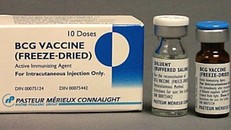 Vaccine phòng lao BCG - Hy vọng mới trong cuộc chiến chống COVID-19 tại nhiều nước?