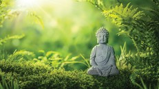 Khám phá chân lý vũ trụ theo lời dạy của Đức Phật