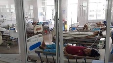 Vụ ngộ độc thực phẩm khiến hàng trăm người nhập viện tại Đà Nẵng ngày 7-5.