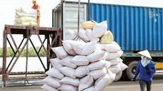 Giá trị xuất khẩu gạo tăng gần 19%