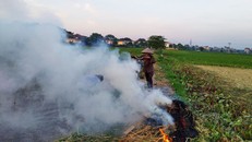 Khói rơm rạ là một trong những nguyên nhân khiến không khí bị ô nhiễm.