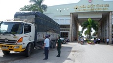 Kiểm tra chuyên ngành tại Cửa khẩu quốc tế Hà Tiên 