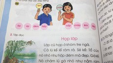 Tác giả lên tiếng về SGK Tiếng Việt 1 bị chê dạy học sinh 'lười nhác, thủ đoạn'
