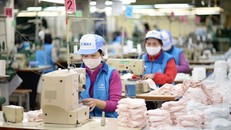 Gần 1 tỷ chiếc khẩu trang y tế được xuất khẩu (Ảnh minh họa: KT)