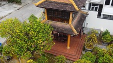 Thừa Thiên Huế lập kế hoạch trở thành ‘Xứ sở Mai vàng’