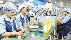 Cho đến nay, năng suất và tốc độ tăng năng suất của khu vực kinh tế tư nhân còn thấp và nhiều hạn chế.