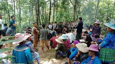 Lễ cúng rừng ở Lào Cai: Lời thề bảo vệ thiên nhiên