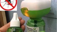 Cả gia đình cấp cứu vì đuổi muỗi bằng tinh dầu: Chuyên gia y học lên tiếng cảnh báo