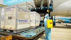 Lô vaccine AstraZeneca đầu tiên đã về Việt Nam vào sáng ngày 24/2/2021.