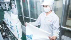 Quyết định 477 đã tác động tích cực đến ngành mía đường trong nước.