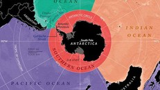 Nam Đại Dương (màu đỏ) bao quanh Nam Cực và tiếp giáp với Đại Tây Dương, Ấn Độ Dương và Thái Bình Dương. Nguồn: National Geographic