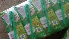 Hình ảnh ghi lại việc những con vật được cho là con giòi bò ra từ trong hộp sữa Milo mà bà N.T.L. (ngụ tại huyện Lâm Thao, tỉnh Phú Thọ) đã mua về cho cháu nội uống vào thời điểm năm 2016.