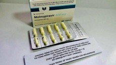 Thuốc Molnupiravir 400mg được thử nghiệm giai đoạn 3 tại cộng đồng cho 116.000 F0 ở TP.HCM.