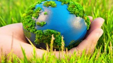 Phê duyệt Chiến lược bảo vệ môi trường quốc gia đến năm 2030, tầm nhìn đến năm 2050