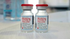Vaccine ngừa COVID-19 của Moderna. 