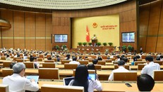 Tuần làm việc thứ 3, Kỳ họp thứ 3, Quốc hội khóa XV: Nhiều hoạt động chất vấn và trả lời chất vấn