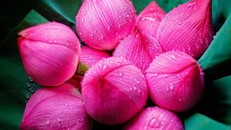 Những dấu hiệu cho thấy bạn đang tự tạo phước báu cho mình