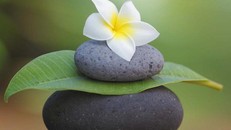 Bài học trong cuộc sống: Giao nhân nào thì gặt quả ấy