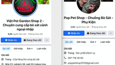 Việc buôn bán các loài rùa cạn quý hiếm và nhiều loại bò sát khác tại hai cơ sở Vietpet Garden Shop và Poppet Shop được diễn ra khá công khai, bất chấp các quy định của pháp luật.