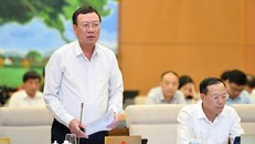 Tổng Thanh tra Chính phủ Đoàn Hồng Phong.