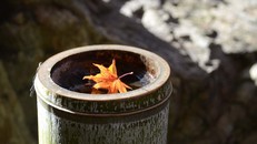 Đừng để tâm bất thiện xô ngã ta vào những nỗi đau dài