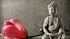 Tâm thành hướng Phật ắt được gặp Phật