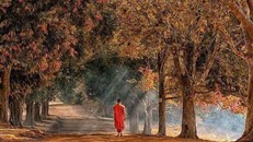 Hiểu thêm về ý nghĩa của chữ 'nghiệp' trong đạo Phật