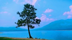 Cảnh giới cao nhất của tâm thái con người là sự bình thản