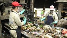 Công nhân phân loại rác tại dây chuyền xử lý rác thành phân bón hữu cơ tại Nhà máy xử lý chất thải rắn Ninh Bình. 