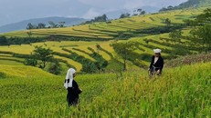 Xã Hồng Thái, huyện Na Hang, tỉnh Tuyên Quang là nơi có cảnh quan thiên nhiên hùng vĩ, tươi đẹp