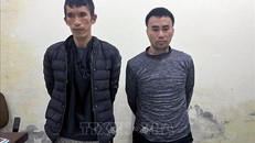 Hai phạm nhân trốn trại đã bị bắt giữ. 