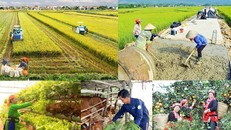Đẩy nhanh tiến độ thực hiện các Chương trình mục tiêu quốc gia