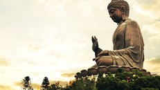 Tin lời Phật dạy là chân chính