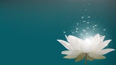 Hạnh phúc thực sự không thể có được từ giành giật