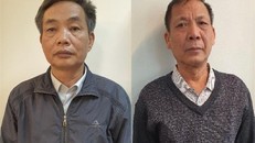 Thêm hai lãnh đạo Tổng Công ty Chè Việt Nam bị khởi tố, bắt tạm giam