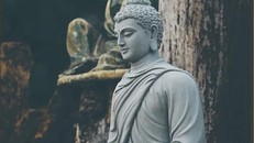 Bốn hạng người đáng thân cận