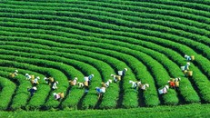 Tiêu chuẩn về công ty nông nghiệp có vốn của Nhà nước