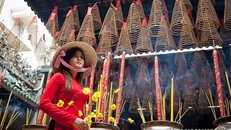 Đừng cầu xin đủ thứ, bẻ cành ngắt bông, chen lấn chụp hình