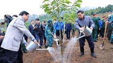 Chỉ thị về tổ chức Tết trồng cây và tăng cường quản lý, bảo vệ, phát triển rừng