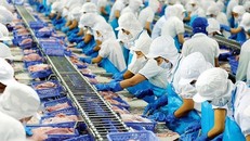 Tăng cường kết nối logistics thúc đẩy tiêu thụ, xuất khẩu nông lâm thủy sản