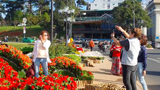 Đà Lạt tấp nập đón khách du Xuân