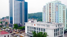 Quảng Ninh: Làm việc ngày thứ Bảy, kịp thời phục vụ người dân và doanh nghiệp